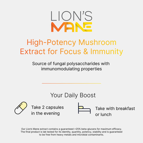 LION'S MANE | High Potency Organic Mushroom Extract